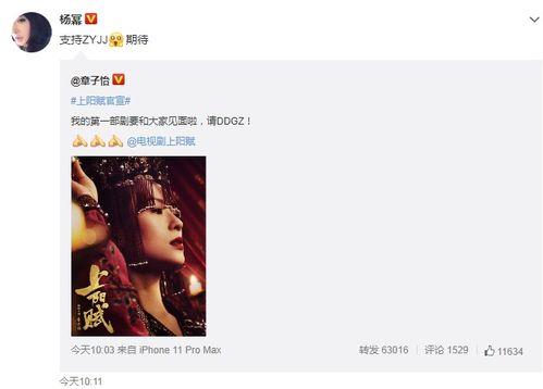 郑燕姿爆料视频,独家爆料视频幕后花絮大公开